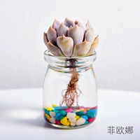 Гидропфейна