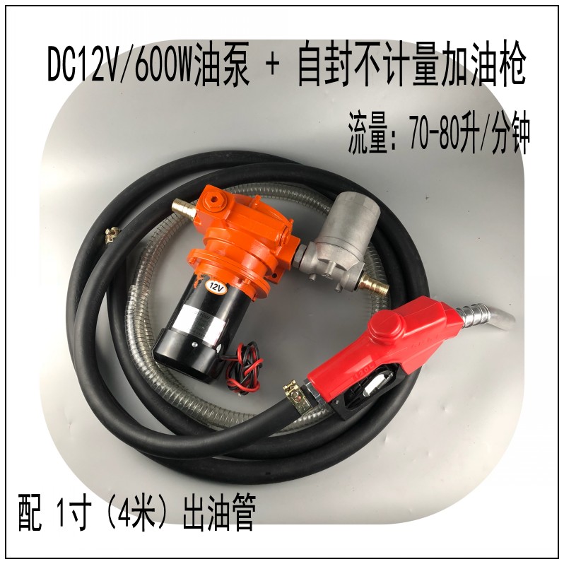 600W大功率220V12V24V电子机械自封计量组合油枪抽油泵加油机柴油