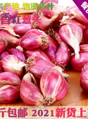 新鲜红葱头干葱头广东红皮火葱小香葱种餐饮食用熬油做卤肉饭葱酥