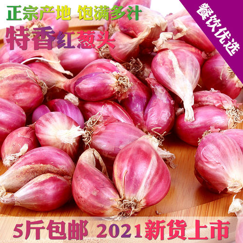 新鲜红葱头干小香葱广东餐饮调料