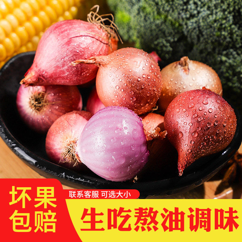 迷你圆葱小洋葱东北毛葱生吃干红葱头商用摆盘佐餐熬葱油卤肉调味,水产肉类/新鲜蔬果/熟食,葱类,淘宝优惠券,粉丝福利购,淘宝优惠卷