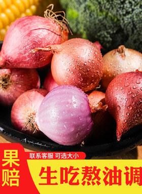 迷你圆葱小洋葱东北毛葱生吃干红葱头商用摆盘佐餐熬葱油卤肉调味