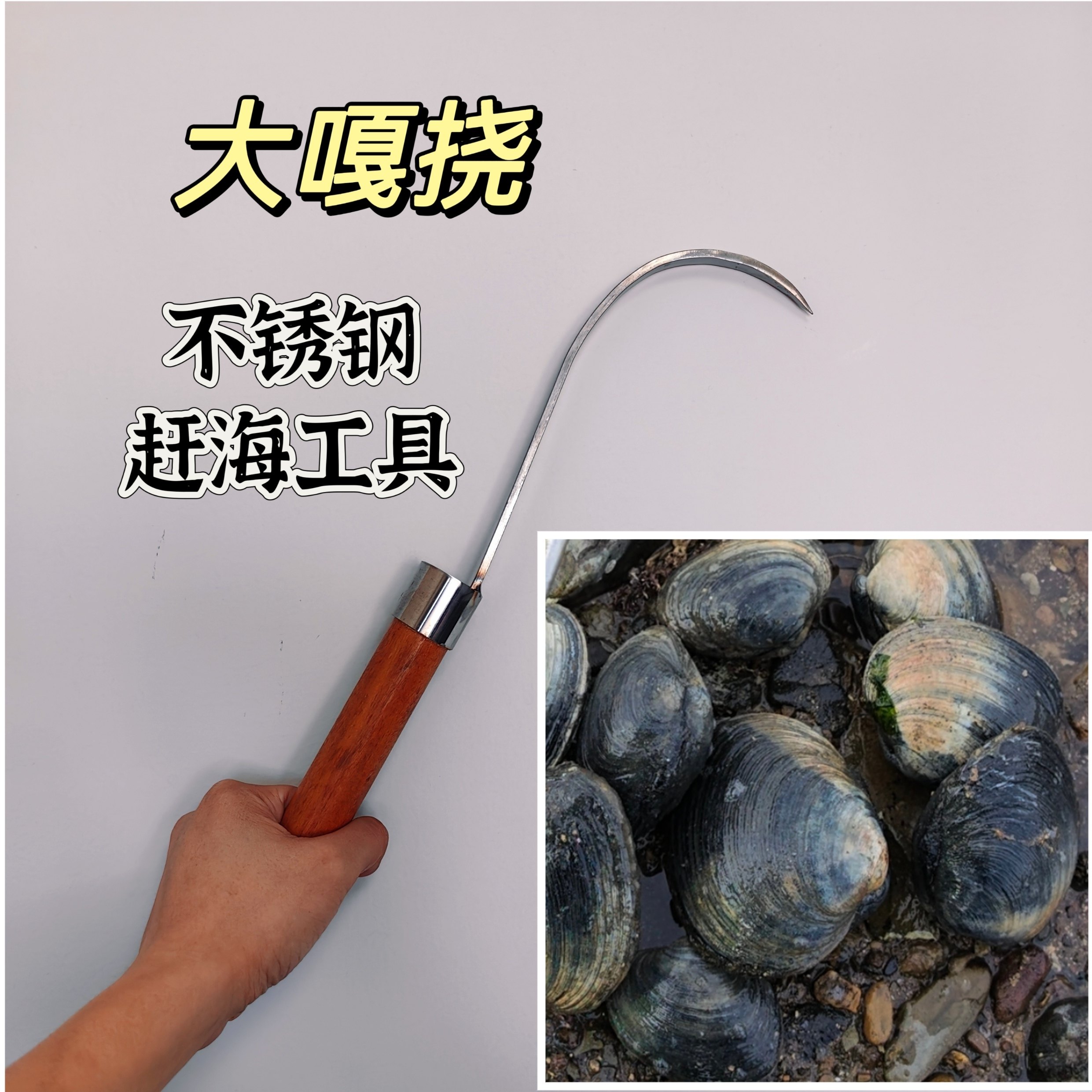 赶海工具 大嘎挠 不锈钢耙子 单齿挠 单头耙 蚬母 月亮贝工具,农机/农具/农膜,耙子,淘宝优惠券,粉丝福利购,淘宝优惠卷