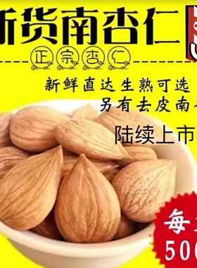 新货生的是承德的杏仁熟甜南原味大扁坚果零食散装大杏仁500g包邮