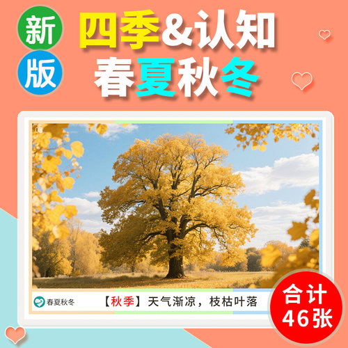 四季认知卡片春夏秋冬儿童教具