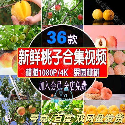 新鲜水蜜桃黄桃油桃蟠桃子视频新鲜水果果园桃树高清实拍采摘素材