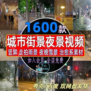 竖屏城市街景夜景走拍夜景雨景雪景治愈系风景情感语录短视频素材
