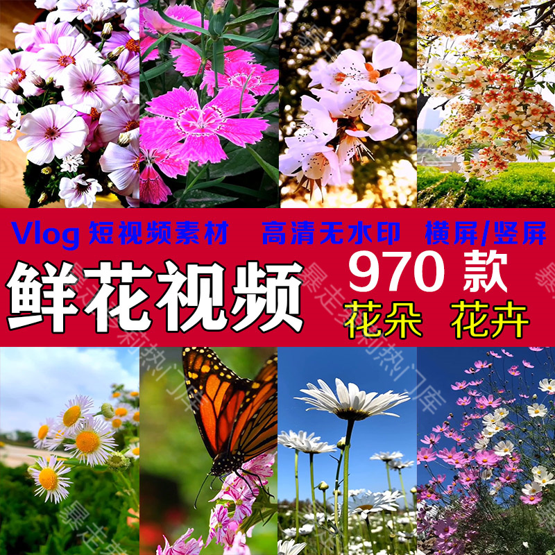鲜花花朵花卉竖屏短视频自然风景高清抖音快手热门自媒体素材视频