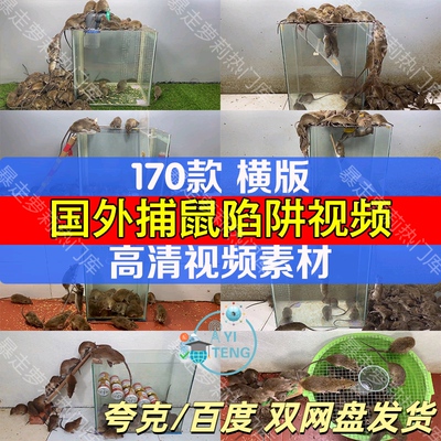 国外捕鼠高清减压素材抖音快手趣味抓老鼠解压热门自媒体剪辑视频