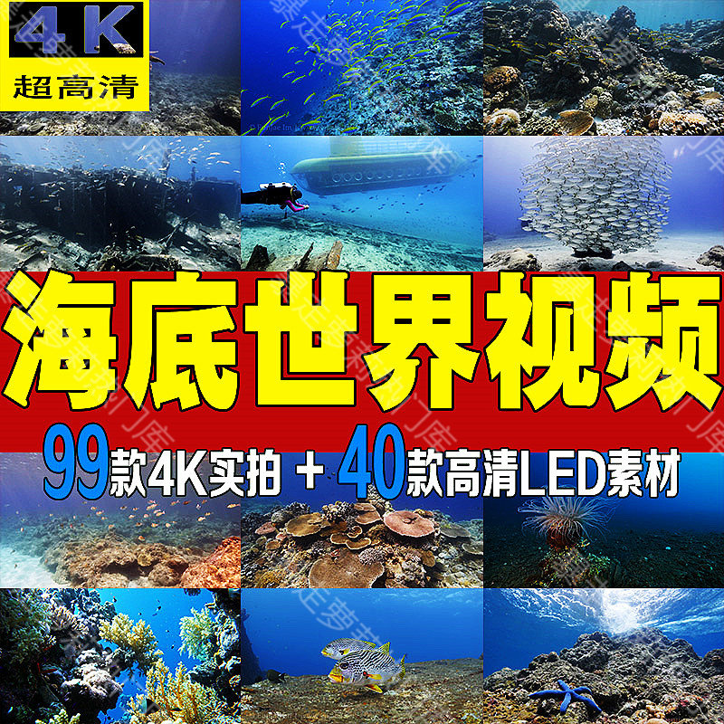 4k海底世界海洋生物短视频高清唯美抖音快手热门剪辑自媒体素材