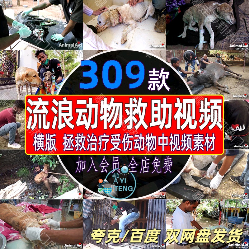 流浪动物救助中视频计划解说拯救治疗受伤流浪狗猫咪宠物抖音素材