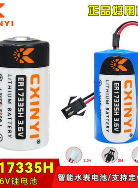 CXINYI ER17335H一氧化碳检测仪硫化氢报警器3.6V锂电池替LS17330