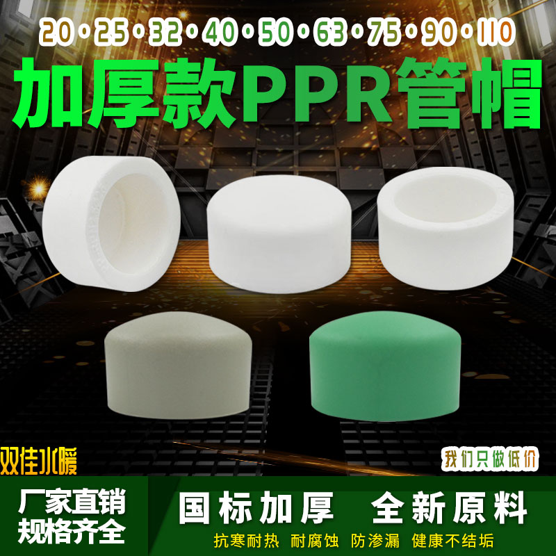 ppr管堵4分6分家用水管配件