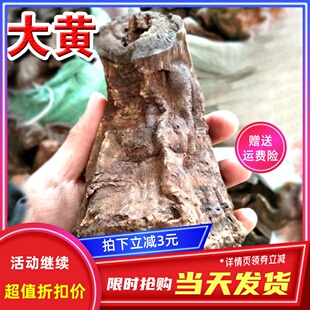 甘肃大黄整个发货大黄片生大黄500g克包邮可磨粉可配黄芪党参