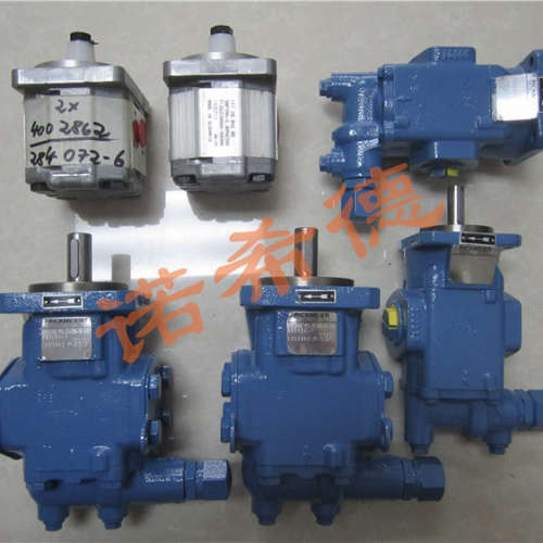 德国瑞克梅尔RICKMEIER齿轮泵R25/20 FL-Z-DB16-W-G1-R 5018614 P