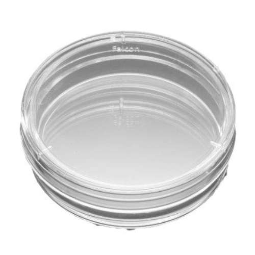 3450  Corning康宁 Transwell细胞小室 PET(聚酯)膜 TC表面 6孔板