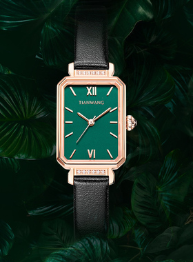 天王手表女款轻奢小众小方表绿表31283方形石英表新年礼物