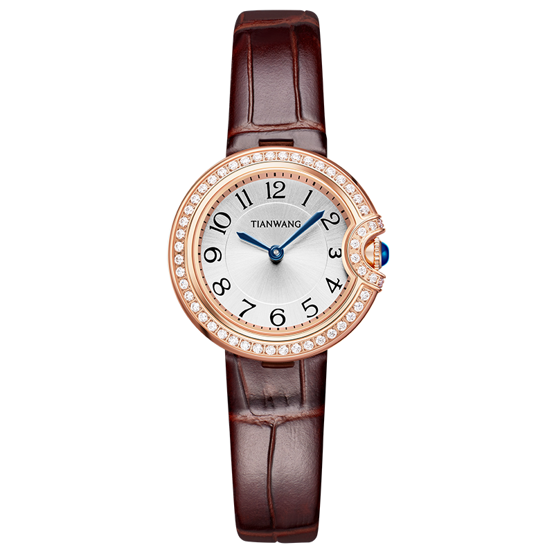 天王永恒之星系列奢华轻奢满圈锆石石英女士手表女生生日礼物