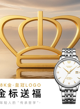 天王金标送福18K金男表商务日历防水自动机械手表5876男生礼物