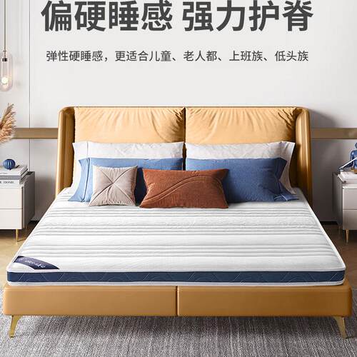 天然棕榈家用硬护脊经济型床垫子