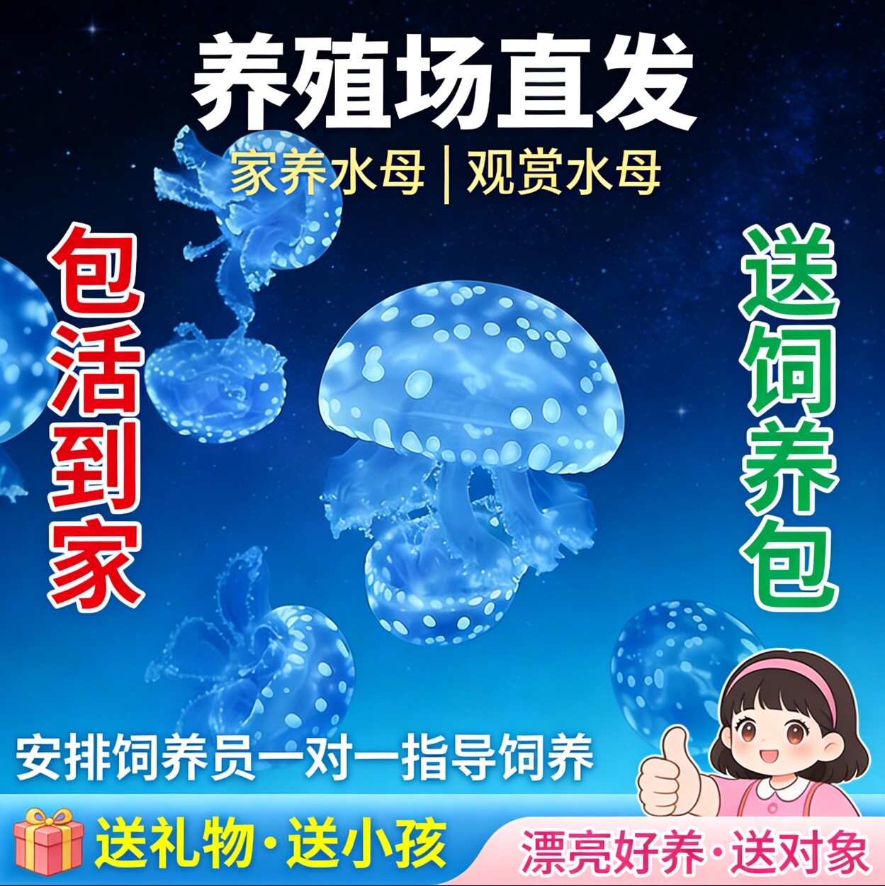 巴布亚硝水母 网红爆款活体水母其它水族宠物