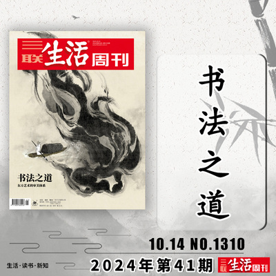 三联生活周刊杂志2024年第41期