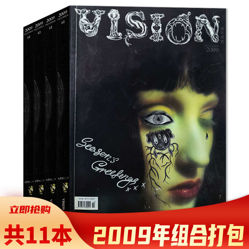 有磕碰磨损【共11本】青年视觉VISION杂志2009年1-2/3-12月全年珍藏组合打包 艺术与设计卷宗生活月刊摄影时装服装人文空间影像