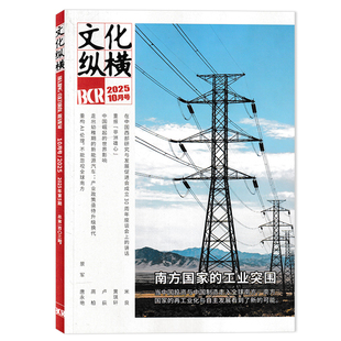 工业突围 文化纵横杂志2025年10月第5期南方国家 文学时政类知识阅读欣赏书籍期刊 单期可选