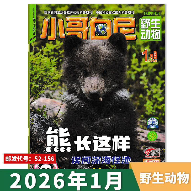 【套装可选】小哥白尼杂志野生动物系列2026年1月熊长这样/误闯深海怪池/动物“笑”哈哈  青少年儿童课外阅读期刊,书籍/杂志/报纸,期刊杂志,淘宝优惠券,粉丝福利购,淘宝优惠卷