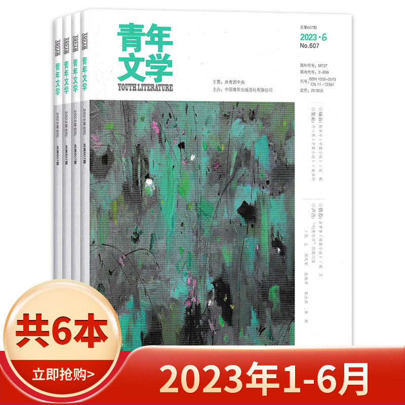【套餐可选】共6本 青年文学杂志 2023年1-6月组合打包非全年 文学知识阅读欣赏书籍期刊 非全年高性价比高么？