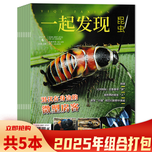 【可选 共5本】一起发现昆虫杂志2025年1-2合刊/3-6月组合打包 少年科学画报杂志社科普百科小学生三四五六年级初中课外期刊杂志