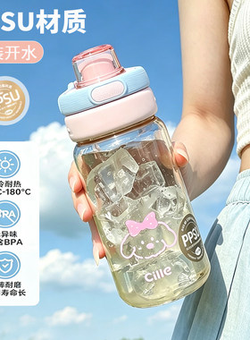 新款PPSU双饮吸管杯耐高温