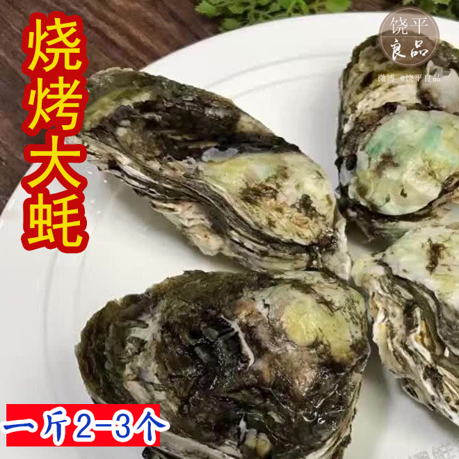 野生鲜活牡蛎 带壳生蚝潮汕酥蚝金枪鱼