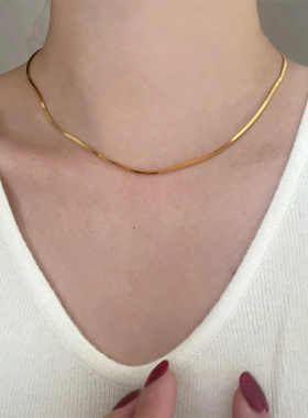 钛钢项链 气质百搭项链女蛇骨链锁骨链小众设计感简约配饰不掉色