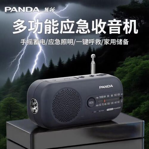 PANDA/熊猫 6251