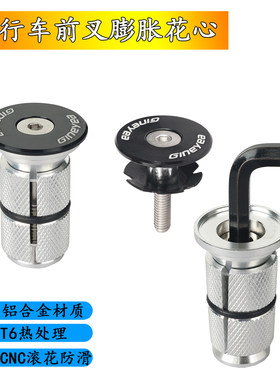 TTBICYCLE前叉膨胀花心铝合金