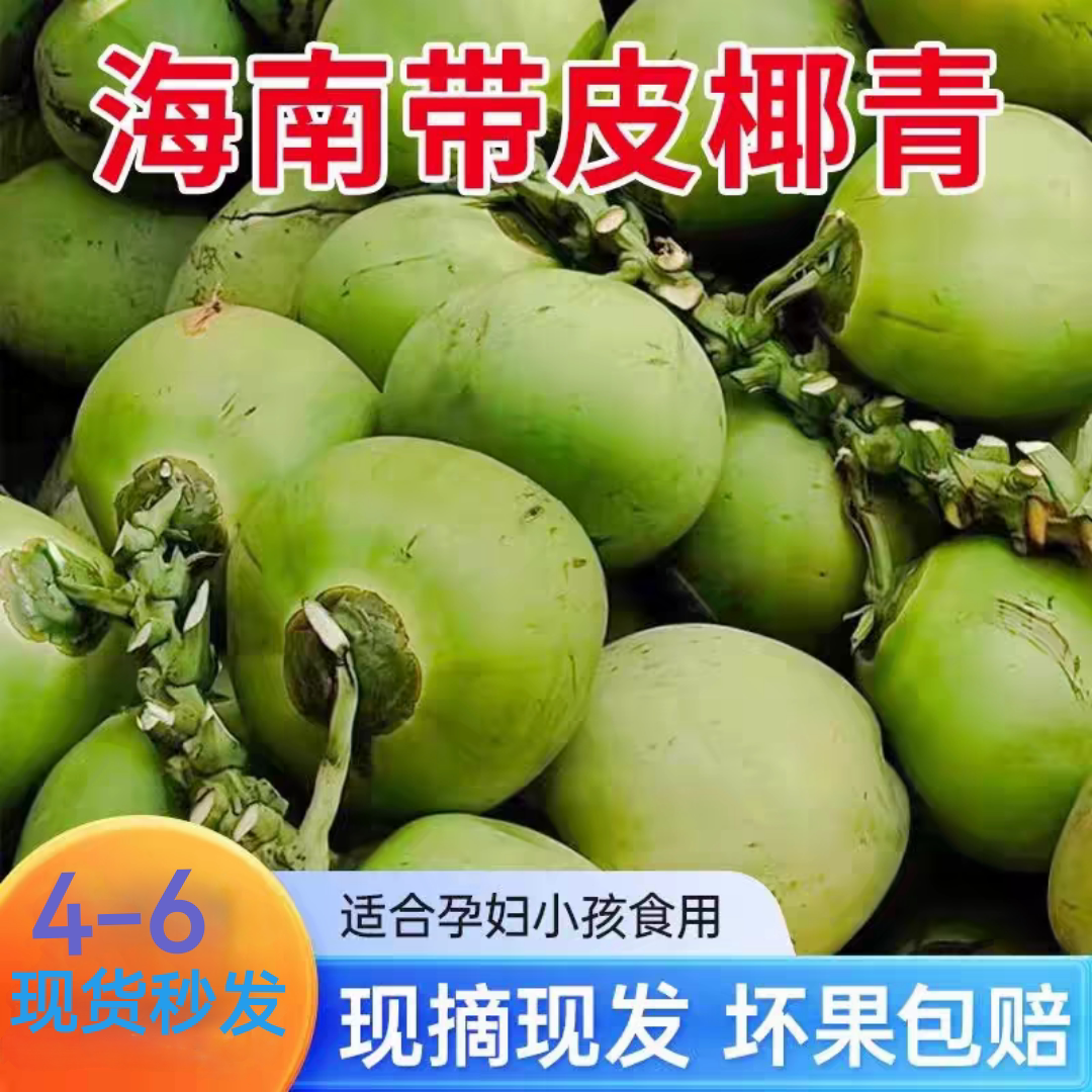 海南直发带皮椰青当季新鲜现摘嫩椰汁孕妇水果大青椰特产椰子包邮