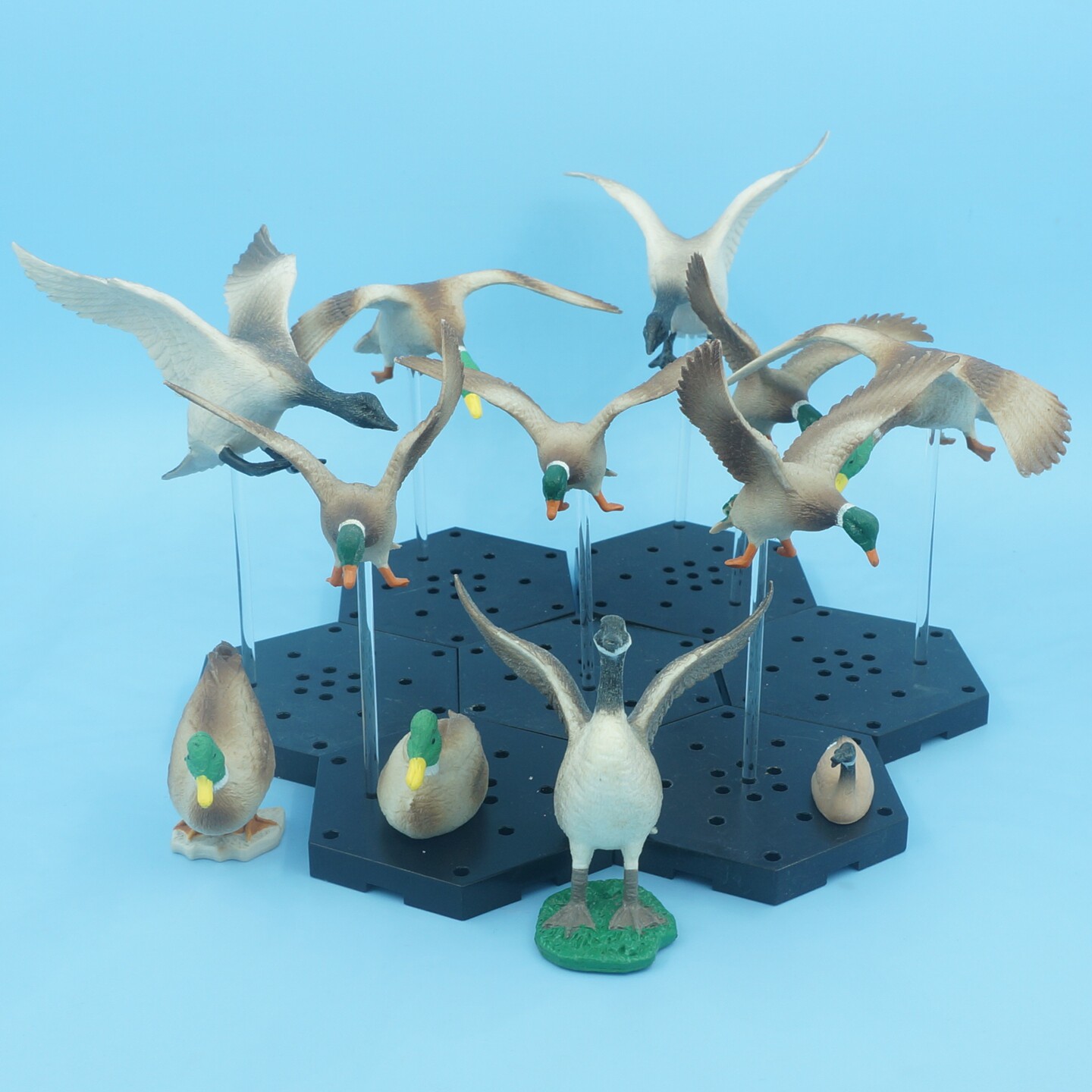 正版散货 Popak New-Ray Mfg 绿头鸭 加拿大黑雁动物造型摆件现货