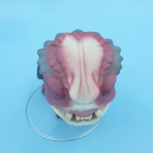 正版散货 FUNKO POP 铁血战士 铁血狗 Hound Dog 摆件 现货