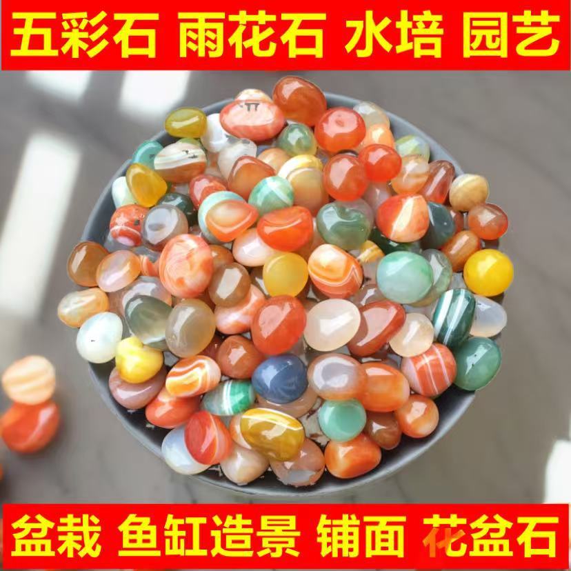 南京雨花石原石天然鹅卵石多肉铺面鱼缸造景花盆栽五彩色小石头子