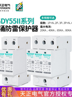 天正TGDY55II浪涌电涌保护器2P/3P+N/4P二级防雷避雷器20KA40KA
