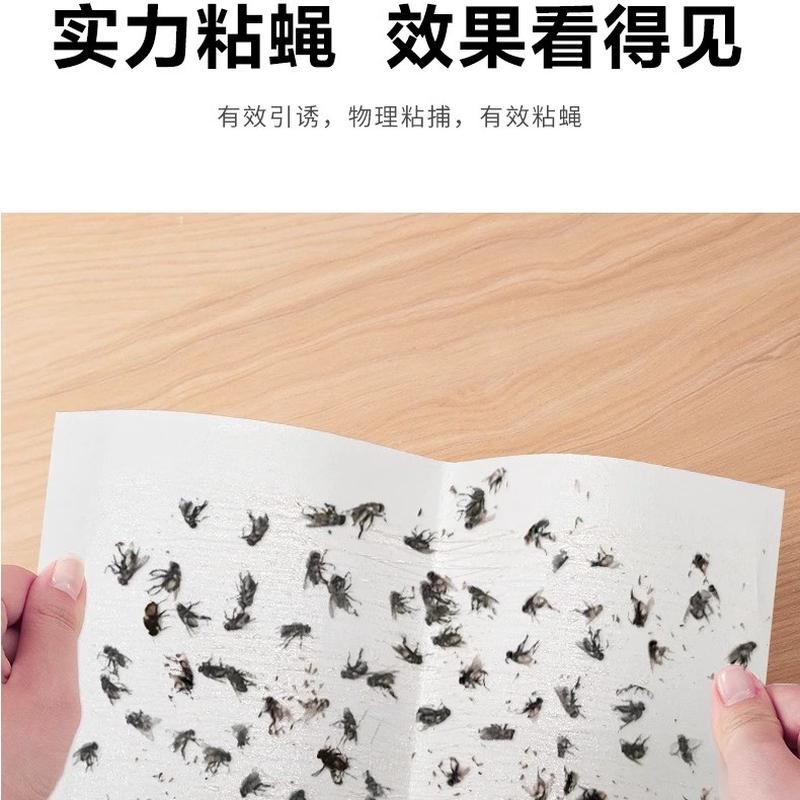 榄菊苍蝇贴强力粘蝇纸自带诱饵灭蝇纸小飞虫果蝇诱捕器蝇苍贴板
