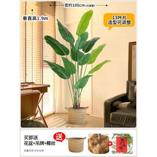 室内高端轻奢旅人蕉仿真绿植盆栽客厅高级仿生植物落地装饰