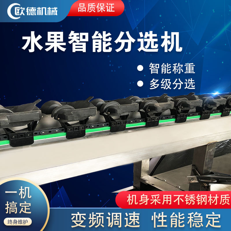 全自动鸭梨称重分选机 火龙果柑橘橙子分级机 智能水果重量分选机