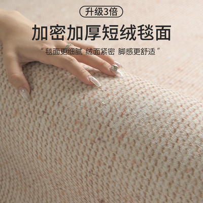 地毯客厅免洗可擦侘寂风高级感现代简约2025新款沙发卧室防水地垫
