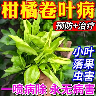 柑橘卷叶病柑橘桔子树叶发黄曲卷黄龙病专用农药果树保花保果药