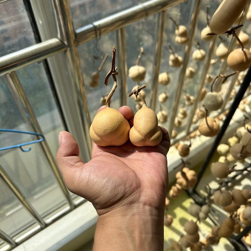异形葫芦第十一组天然手捻文玩金蟾勒扎胖蟾宝宝
