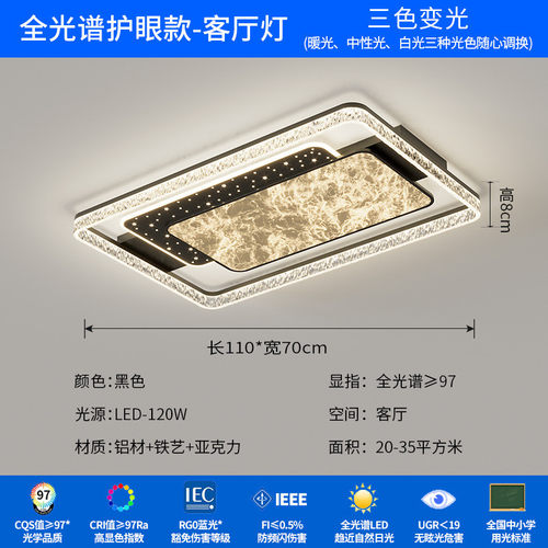 意客厅吸顶灯轻奢式现代简约大厅主灯2025年新款智能护眼中山灯具