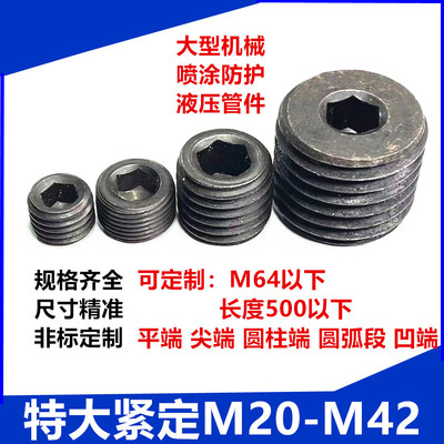 DIN913GB77内六角平端紧定顶丝无头机米螺钉M22M24M27M30M36M42