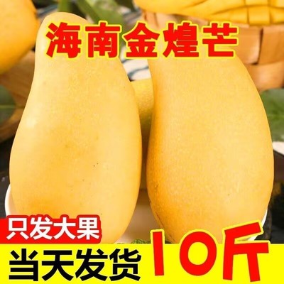 新日期正宗海南金煌芒水仙芒果10斤装整箱热带水果新鲜大芒果甜心